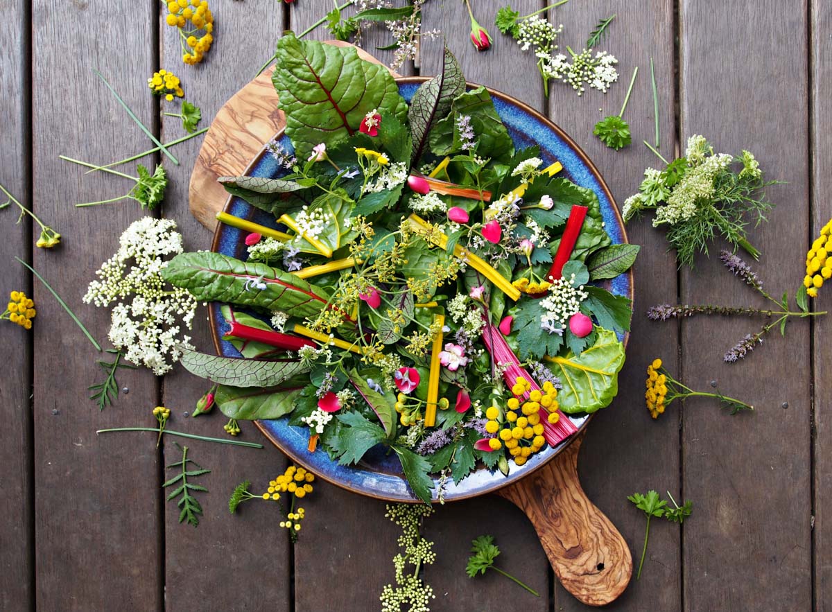 Edible Flower Salad with Mixed Greens – Plum Deluxe Tea