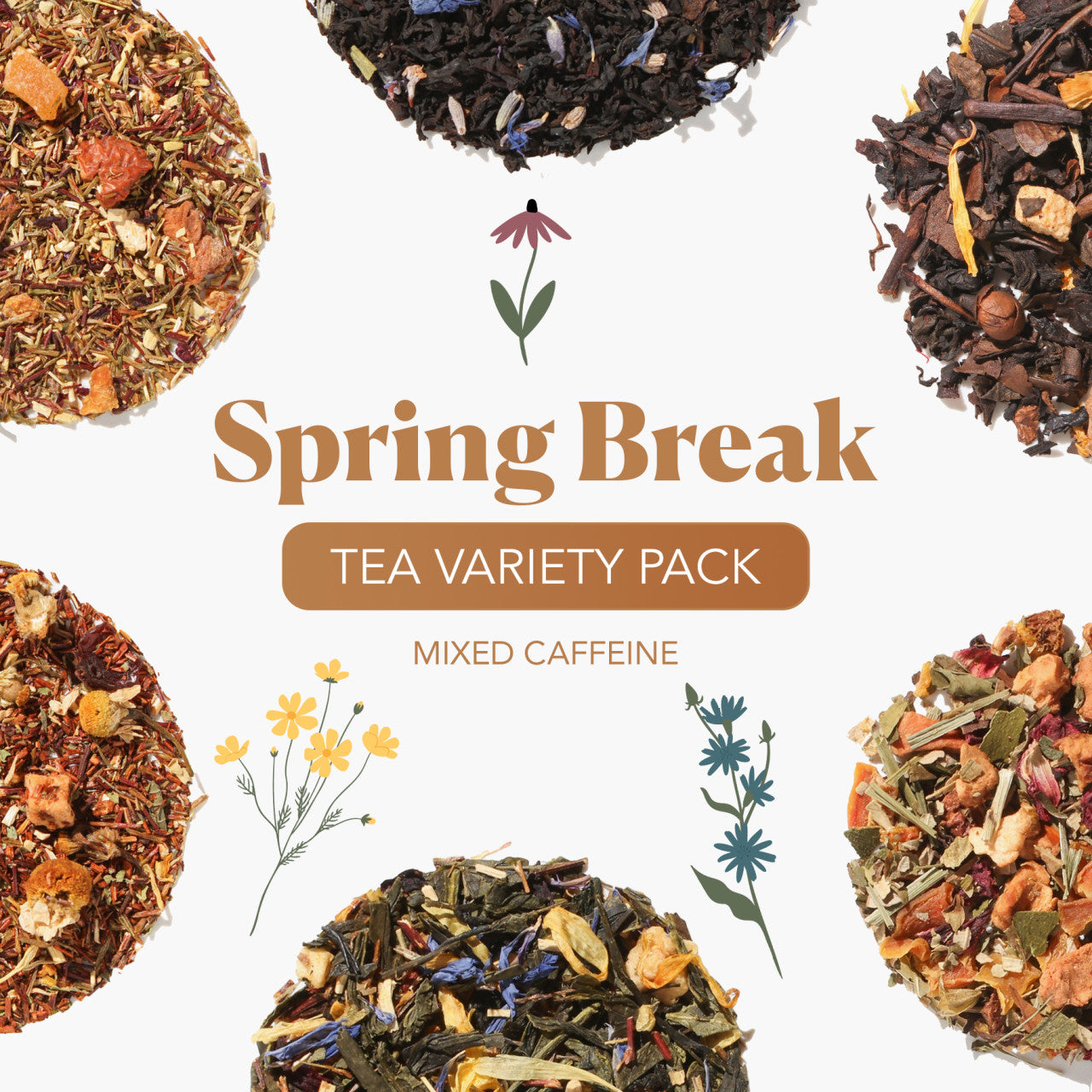 Spring Break Tea Variety Pack [6-Pack Variety of Flavors]